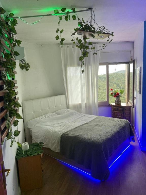 Habitación con iluminación ambiental y vistas